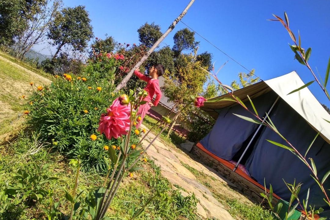 Photo of Buildings in Kaul
