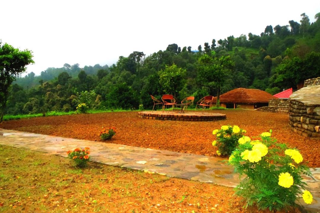 Photo of Others in Kausani