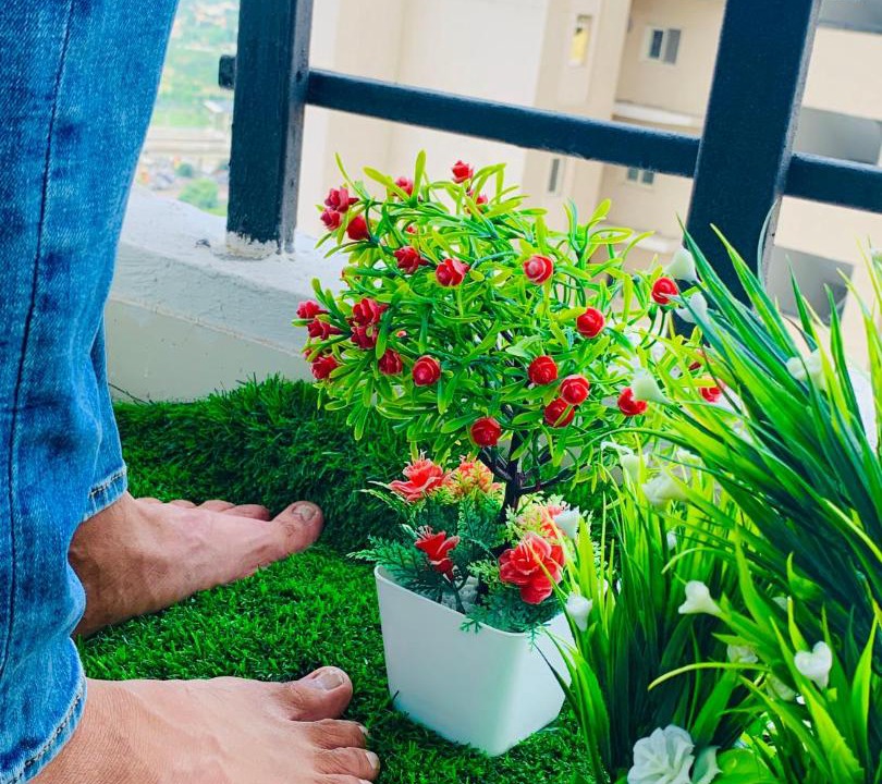 Photo of Patio Balcony in Noida