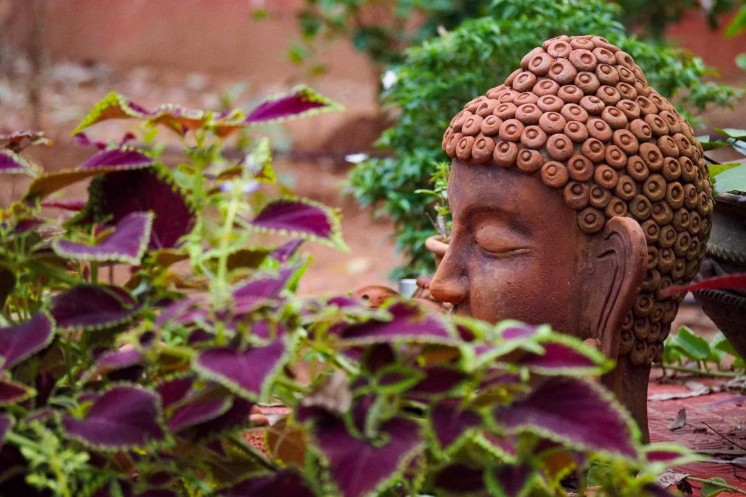 Photo of Others in Bhubaneshwar