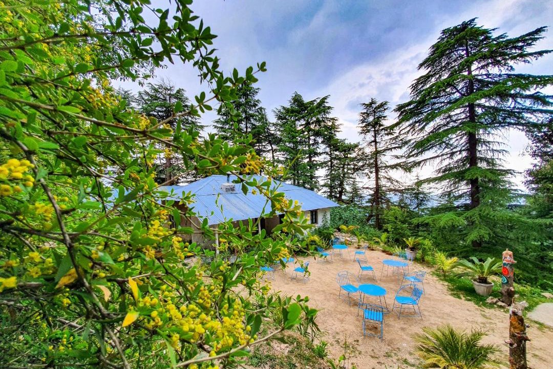 Photo of Outdoor in Dharamshala