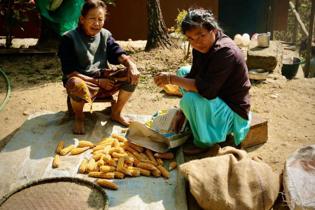 Photo of Others in Kalimpong