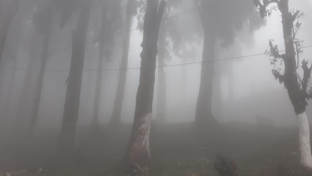 Photo of Others in Ghoom