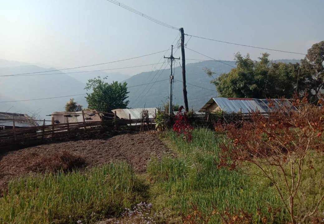 Photo of Outdoor in Turuk