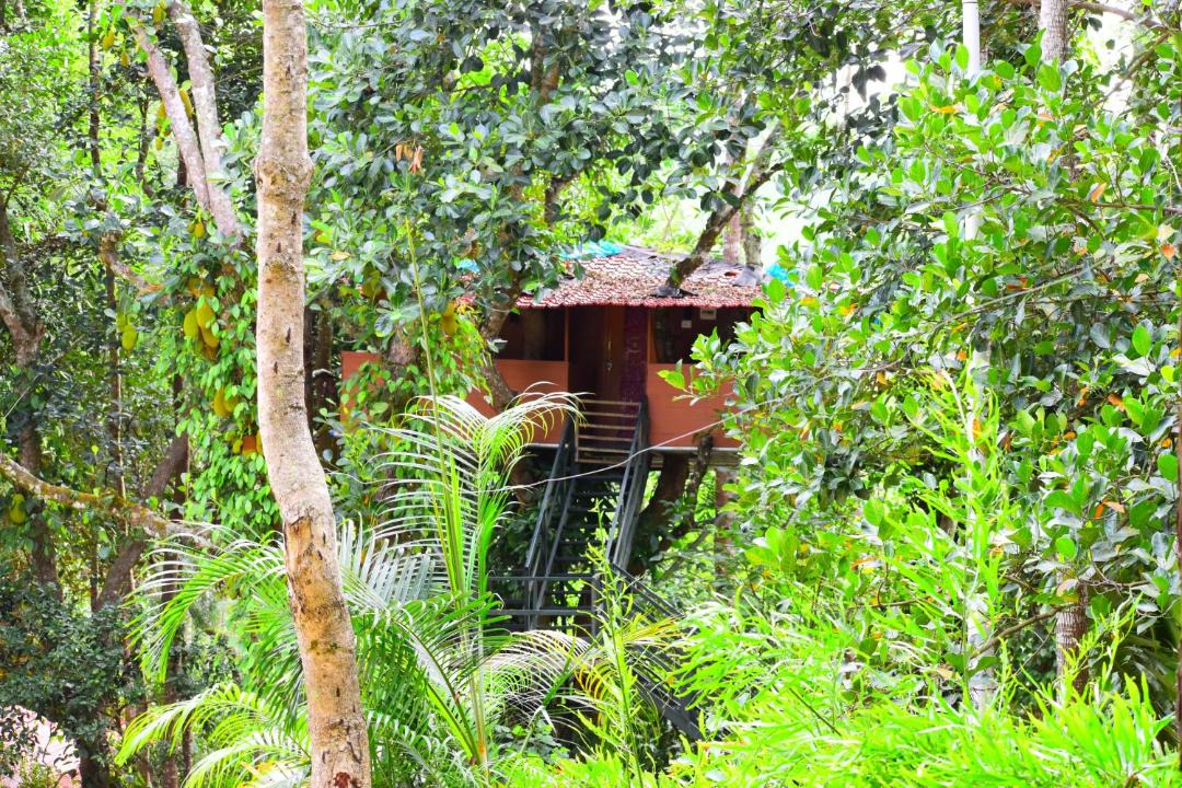 Photo of Others in Yercaud