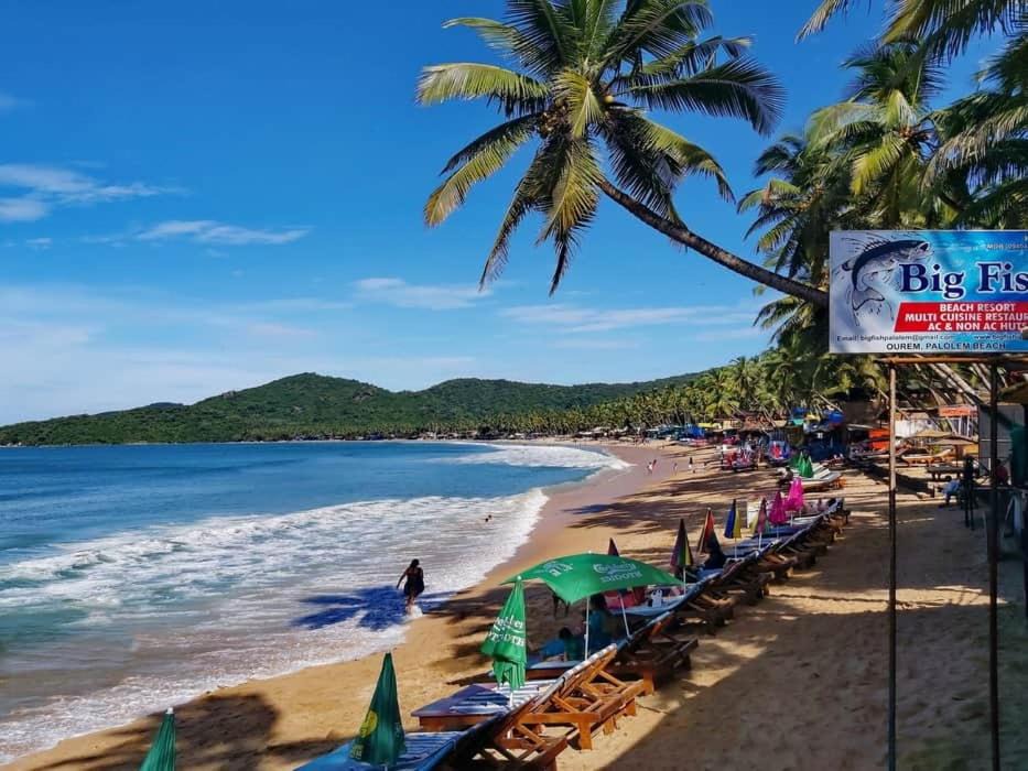 Photo of Others in Palolem