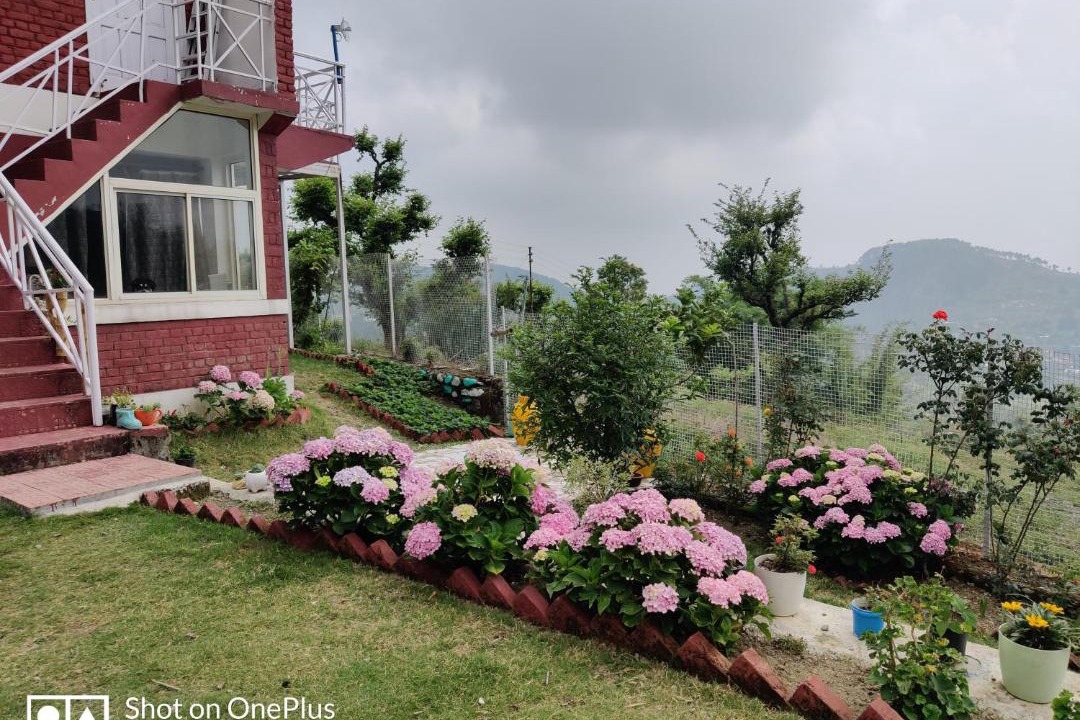 Photo of Buildings in Vijraula