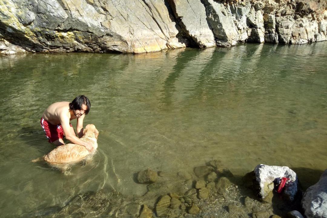 Photo of Human In Picture in Rishikesh