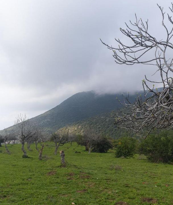 Photo of Others in Idna