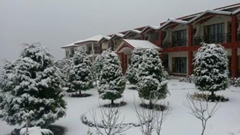 Photo of Buildings in Chaukori