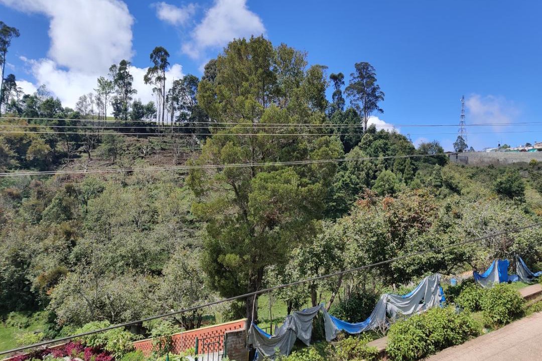 Photo of Others in Kodaikanal