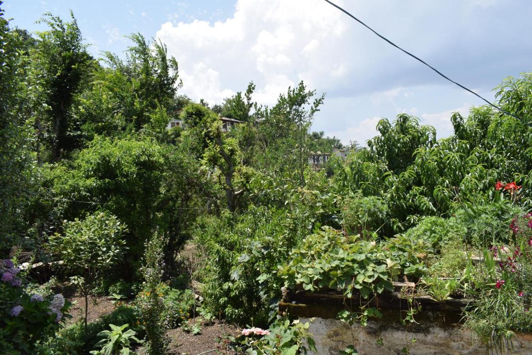 Photo of Outdoor in Kaul