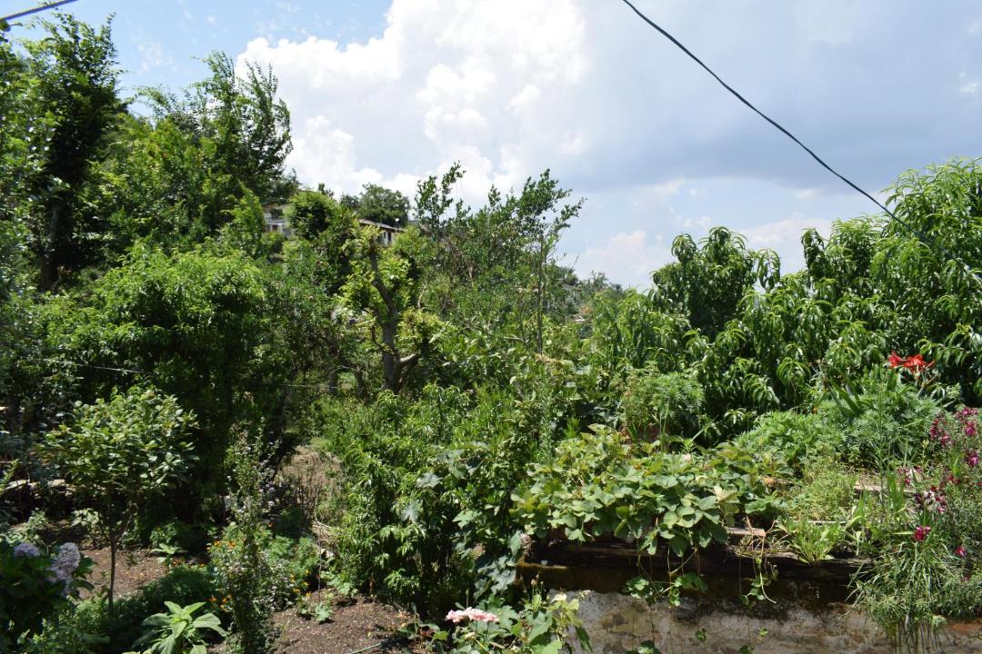 Photo of Outdoor in Kaul
