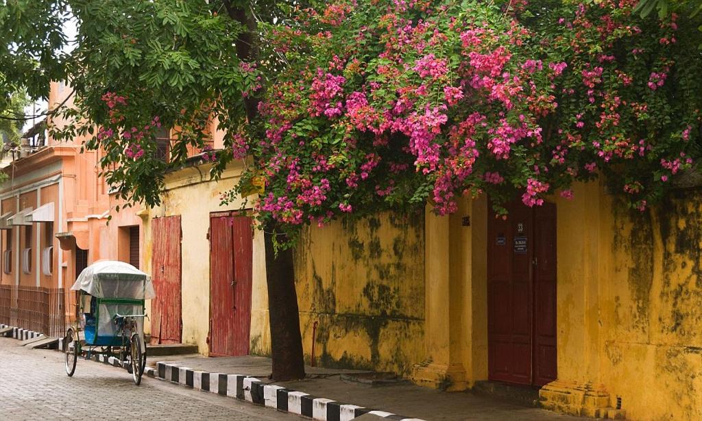 Photo of Buildings in Kottakuppam