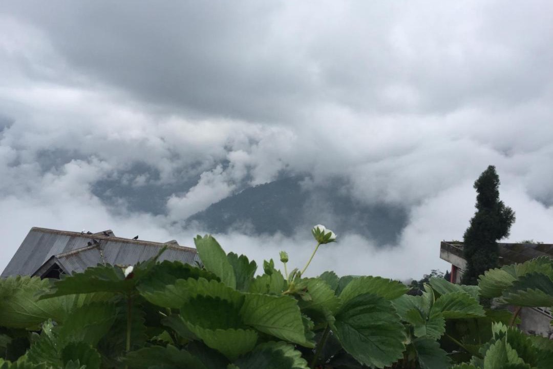 Photo of Others in Darjeeling