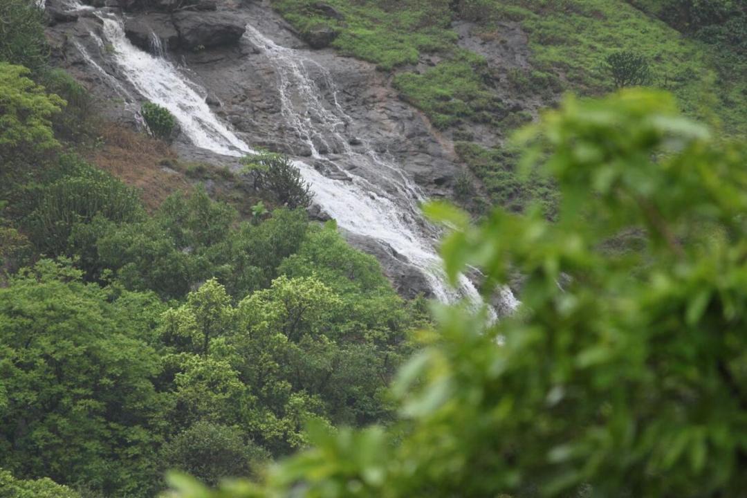 Photo of Others in Kadadhe