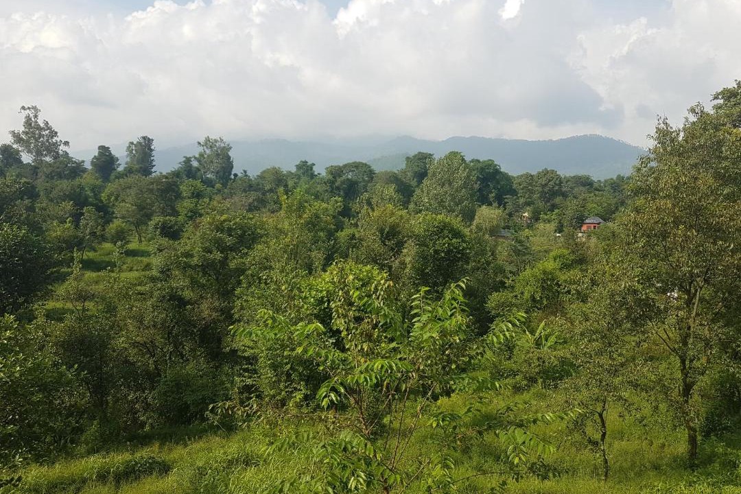 Photo of Outdoor in Gadiara