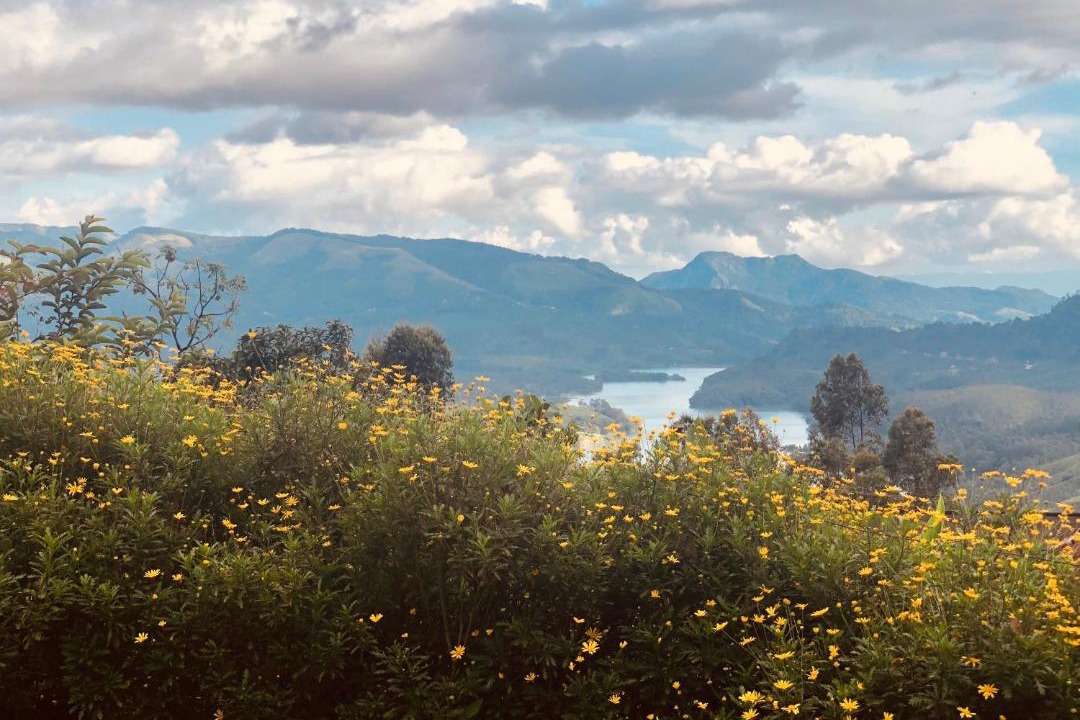 Photo of Outdoor in Chinnakanal