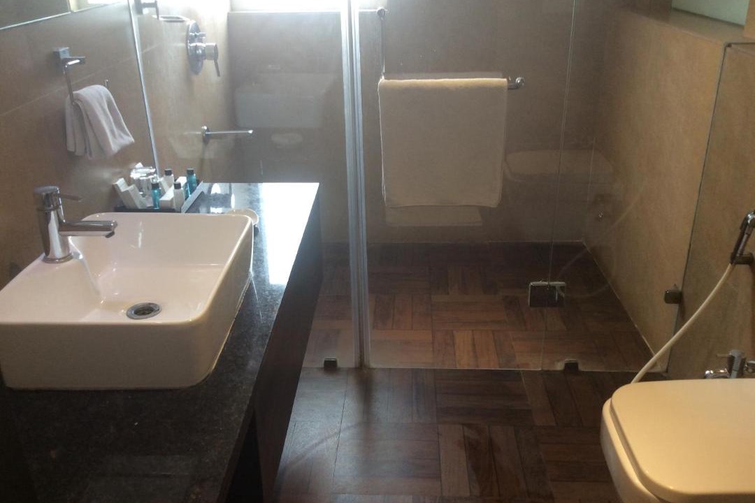 Photo of Bathroom in Triplicane