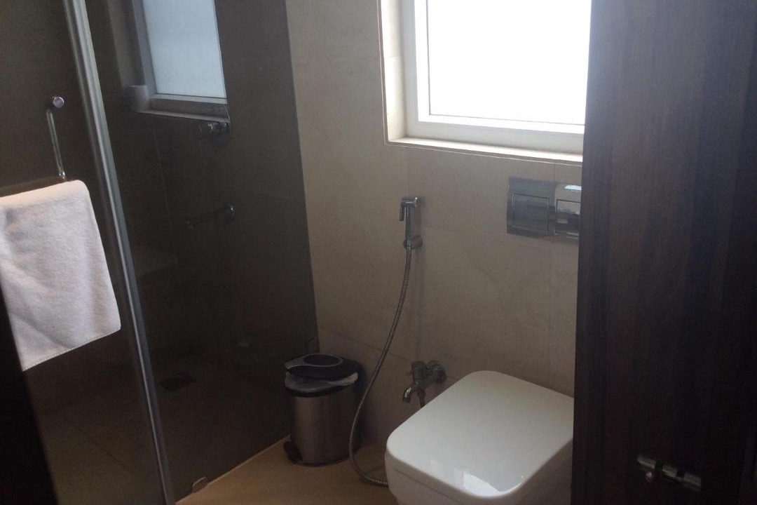 Photo of Bathroom in Triplicane