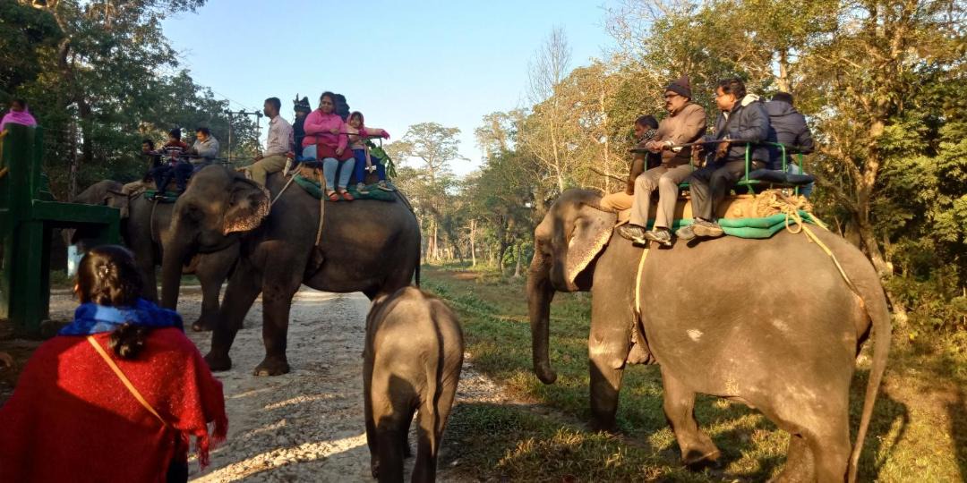Photo of Others in Alipurduar