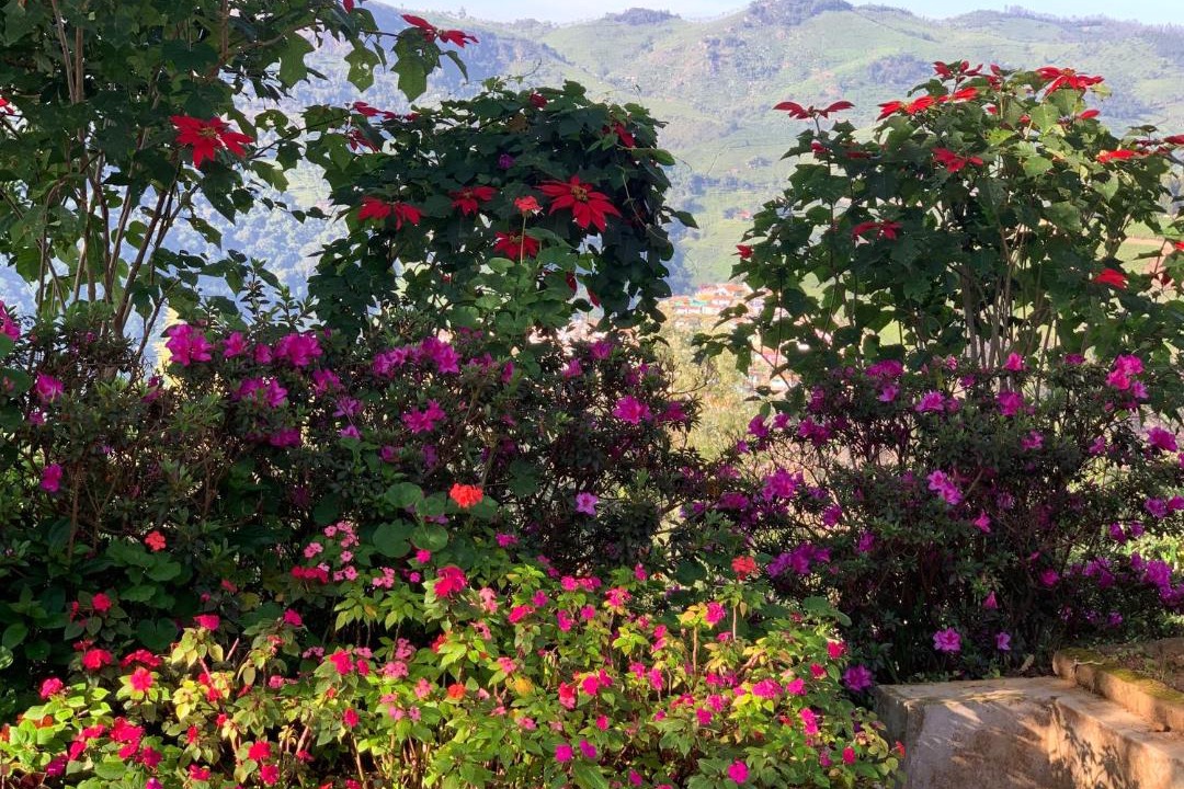 Photo of Others in Coonoor