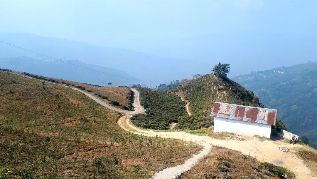 Photo of Others in Darjeeling