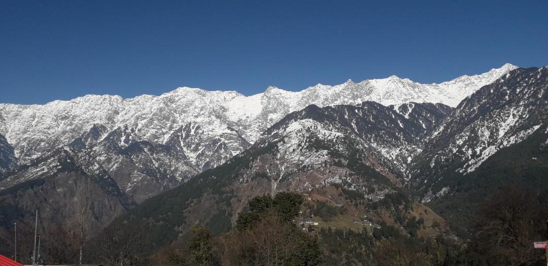 Photo of Others in Dharamshala