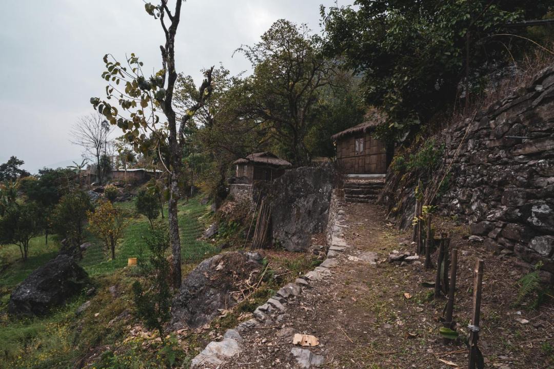 Photo of Others in Rumtek
