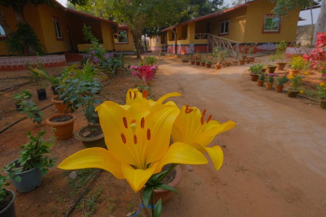 Photo of Others in Bhubaneshwar