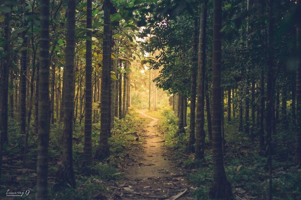 Photo of Outdoor in Alipurduar
