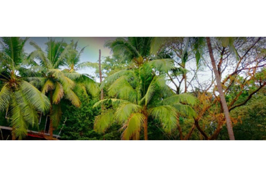 Photo of Others in Goa Velha