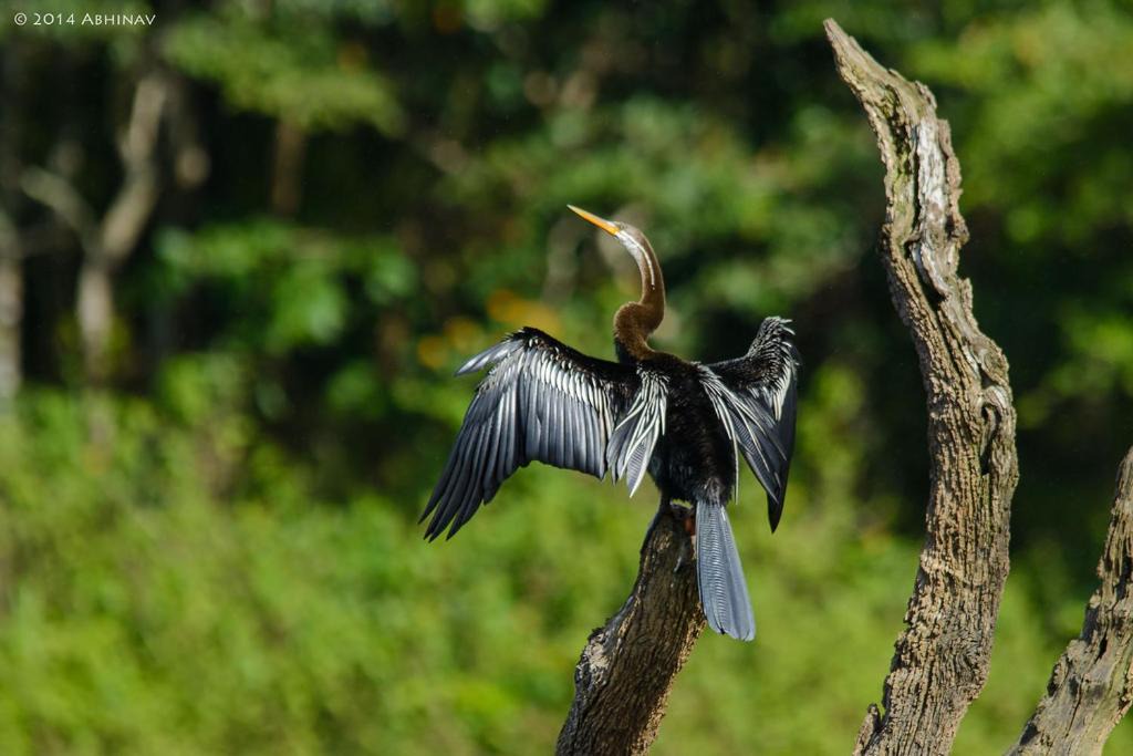 Photo of Others in Thekkady