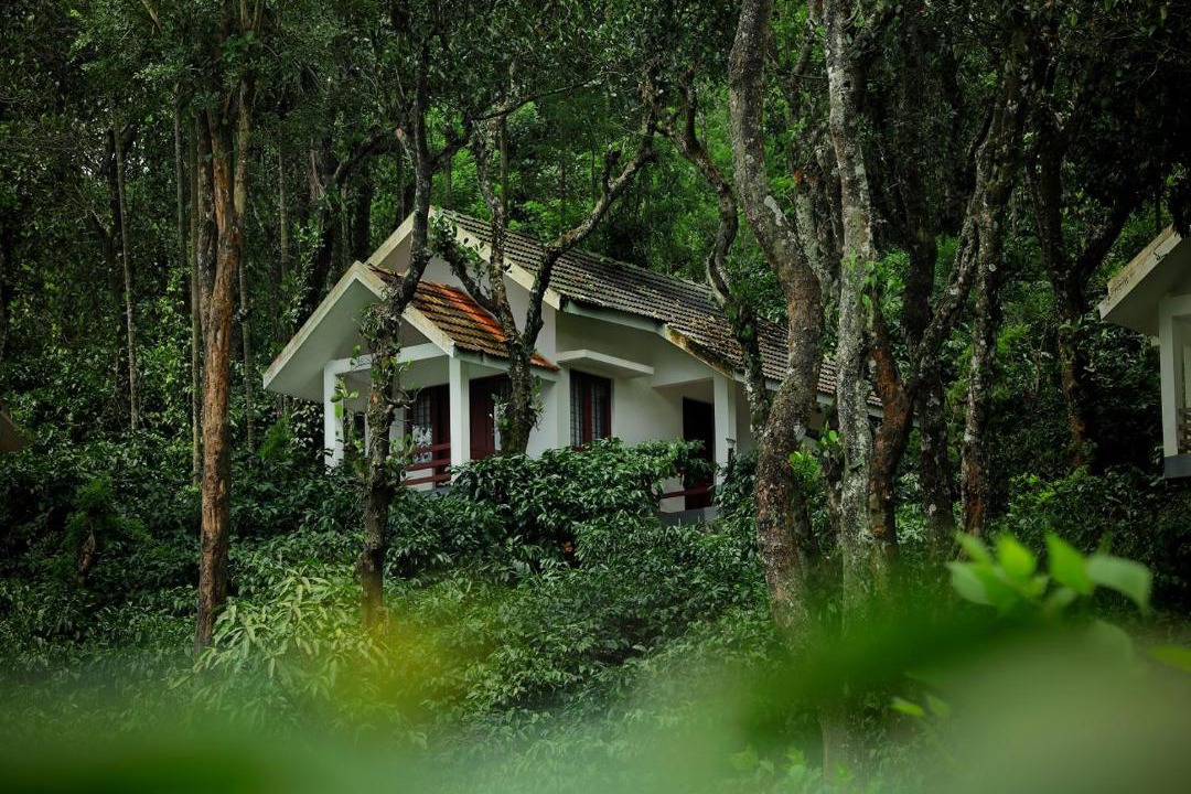 Photo of Others in Vayittiri