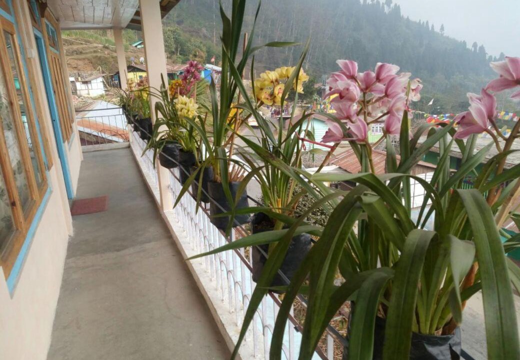 Photo of Patio Balcony in Rishop