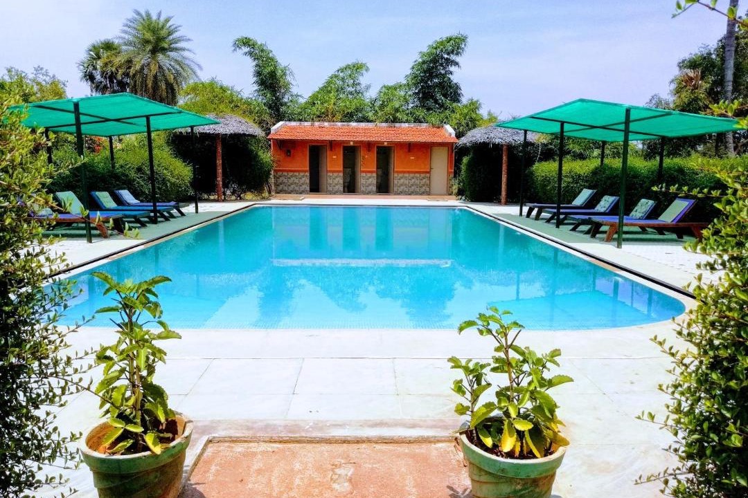 Photo of Outdoor in Tiruvannamalai