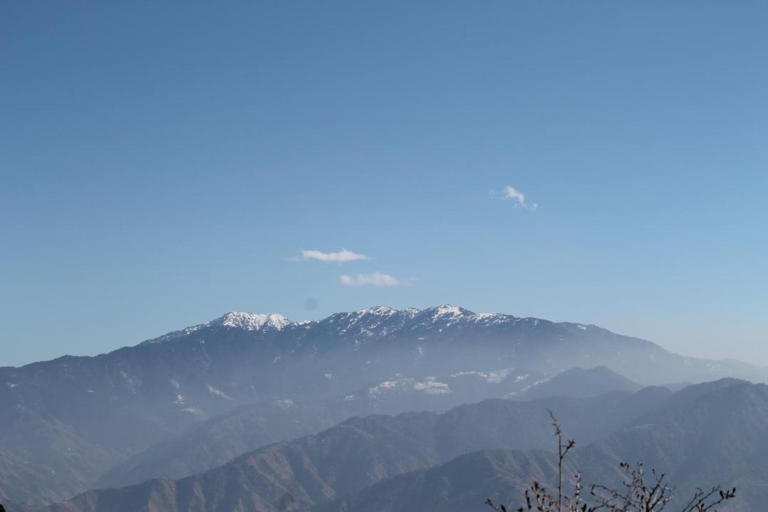 Photo of Others in Shimla