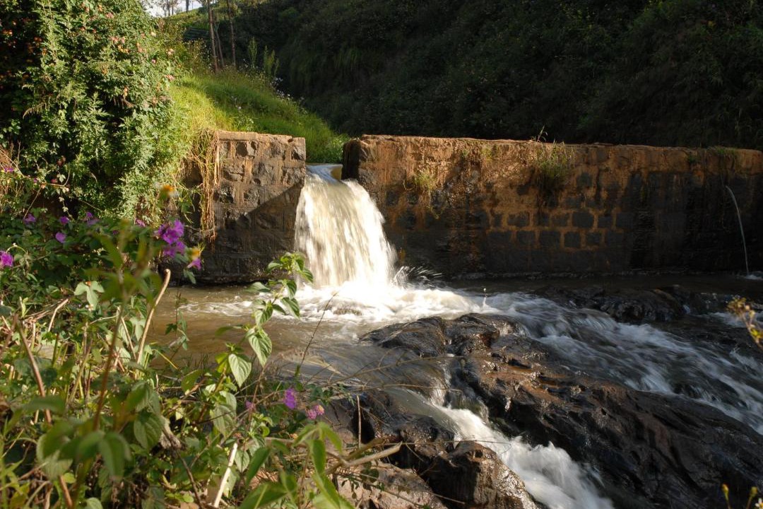 Photo of Others in Coonoor
