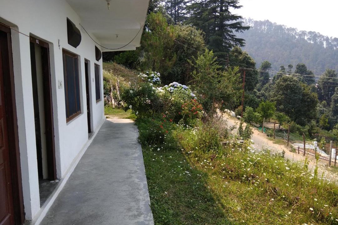 Photo of Others in Kausani