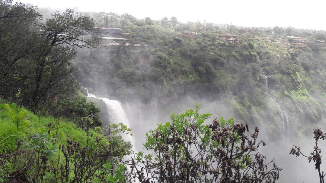Photo of Others in Mahabaleshwar