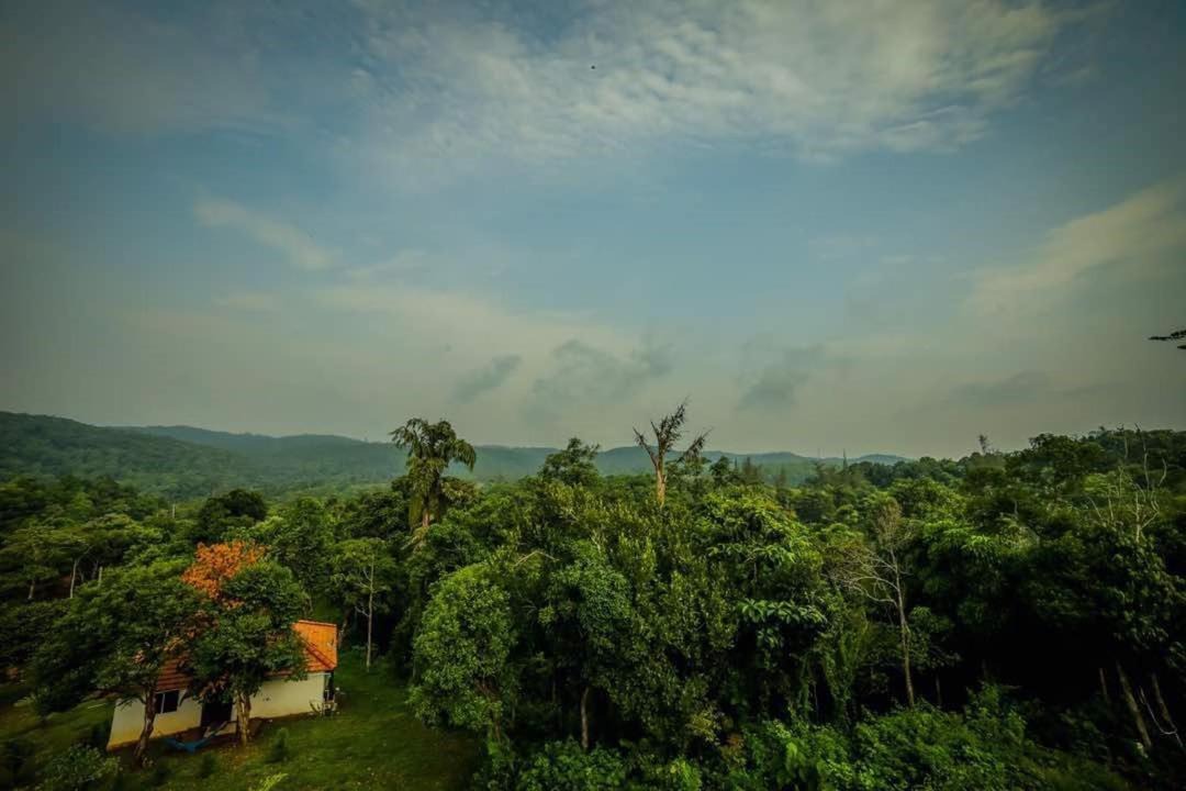 Photo of Outdoor in Sakleshpur
