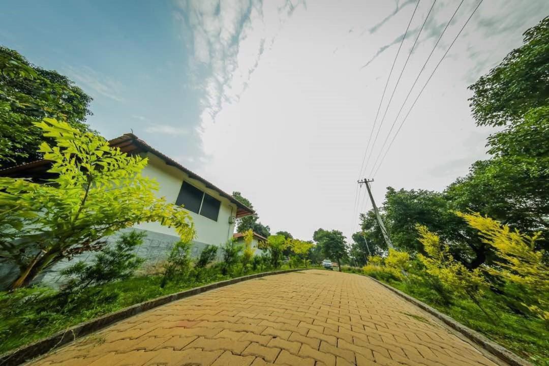 Photo of Others in Sakleshpur