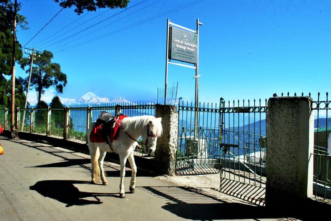 Photo of Others in Darjeeling
