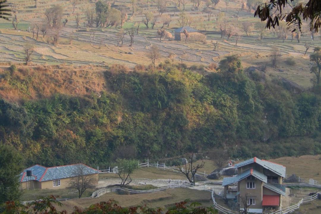 Photo of Outdoor in Palampur