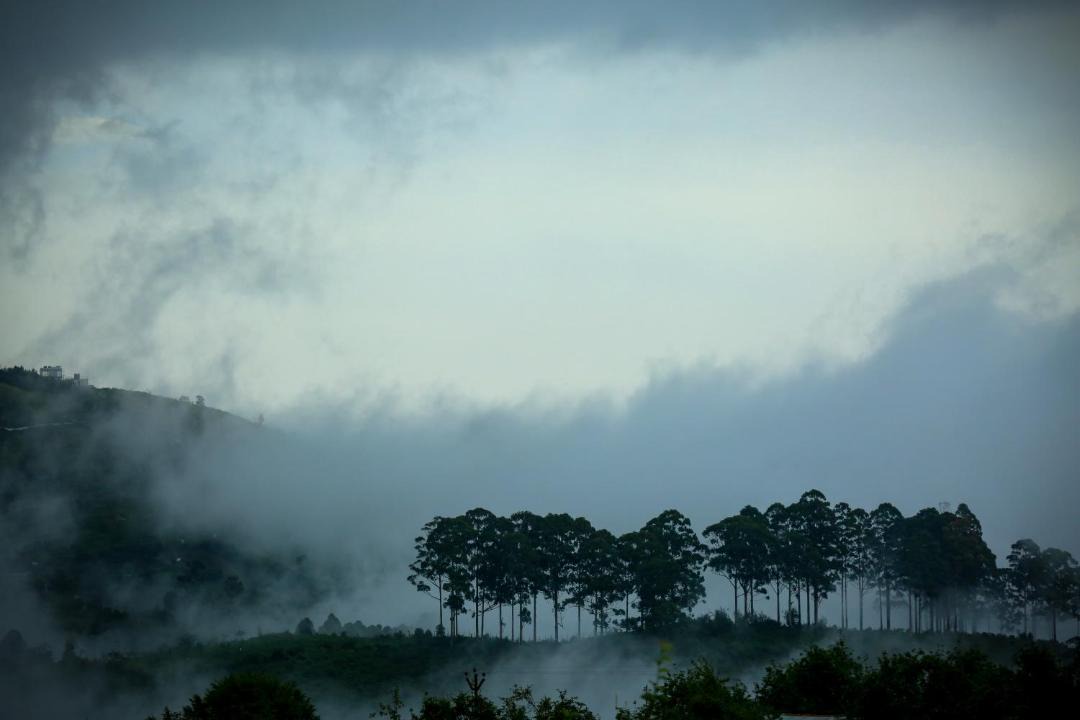 Photo of Others in Kodaikanal