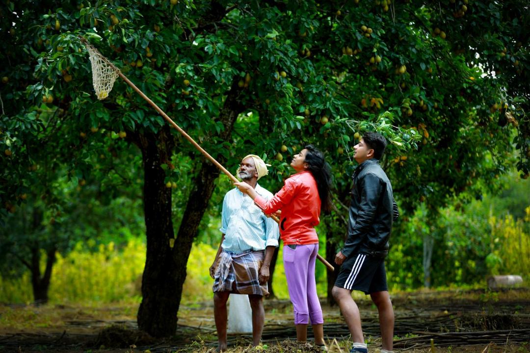 Photo of Others in Kodaikanal