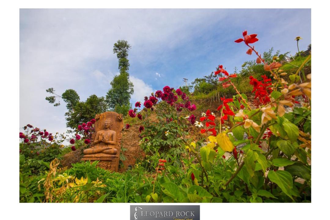 Photo of Others in Ooty