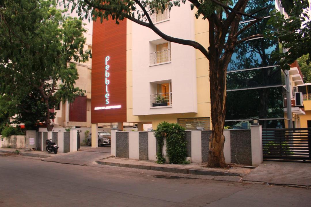 Photo of Others in T Nagar
