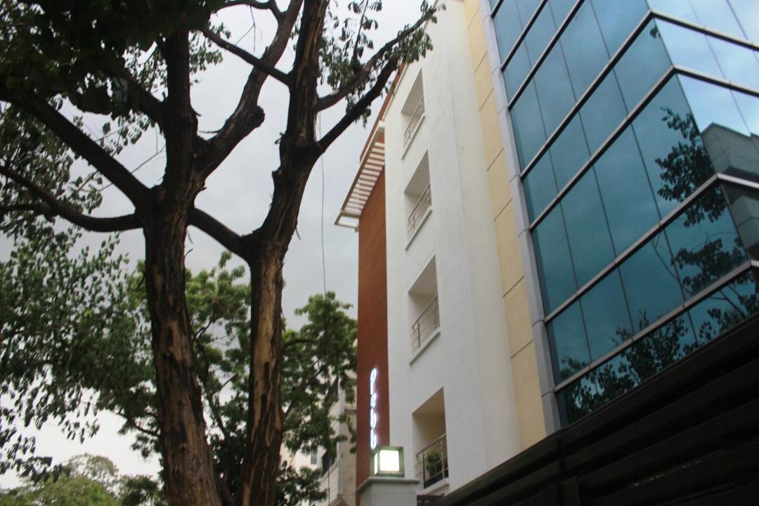 Photo of Others in T Nagar