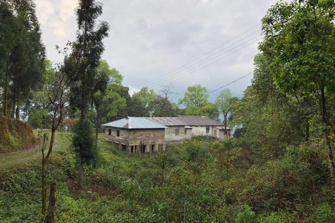 Photo of Others in Kurseong
